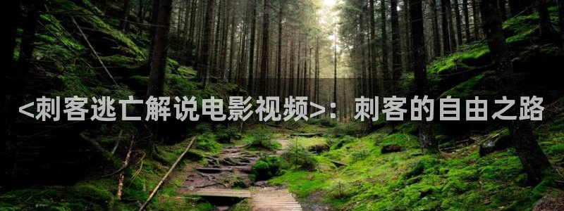 樱桃视频免费观看高清