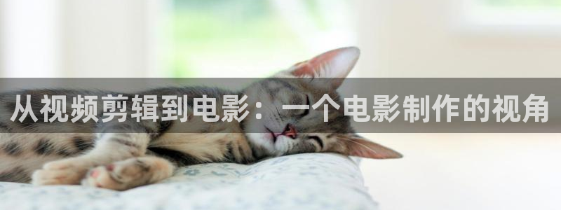 樱桃官网视频