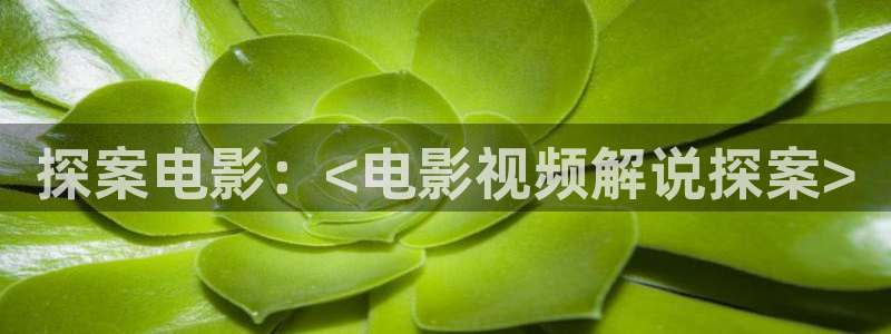 新闻图片
